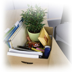 Allied Packers-Packers and Movers in Panipat, Warehouse in Dwarka, Warehouse in Noida