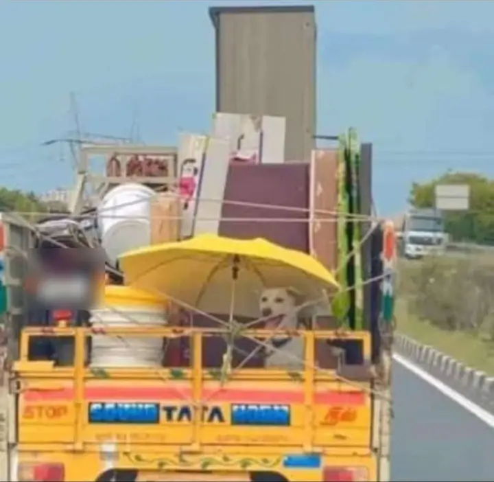A loaded goods vehicle on a highway